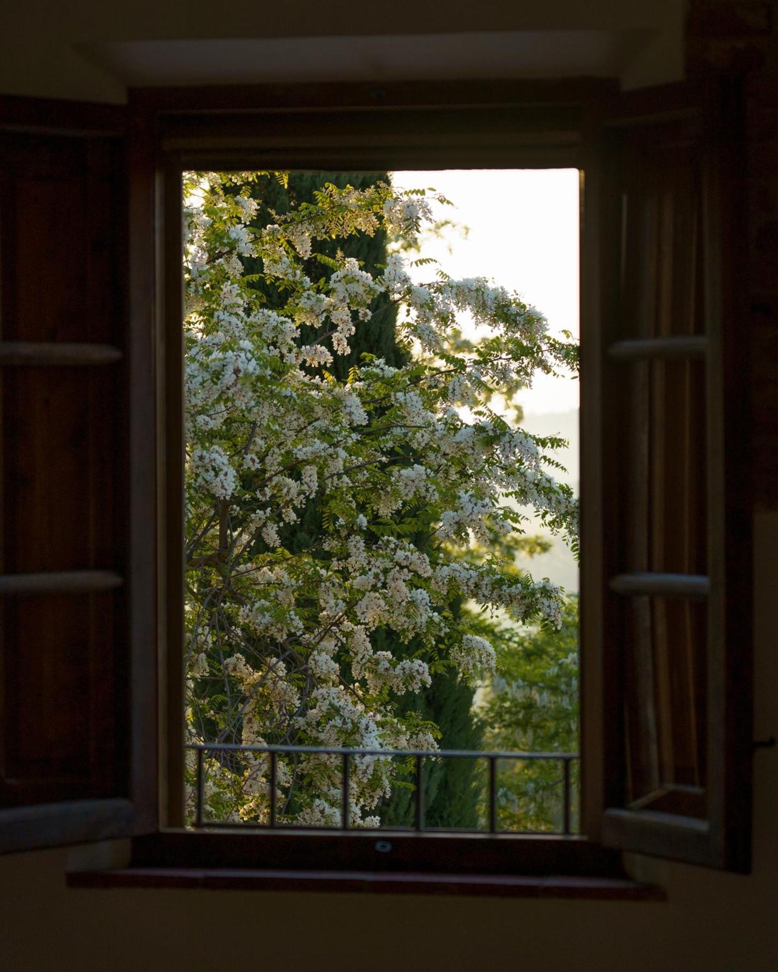 Villa Cozzano Pozzuolo Room photo